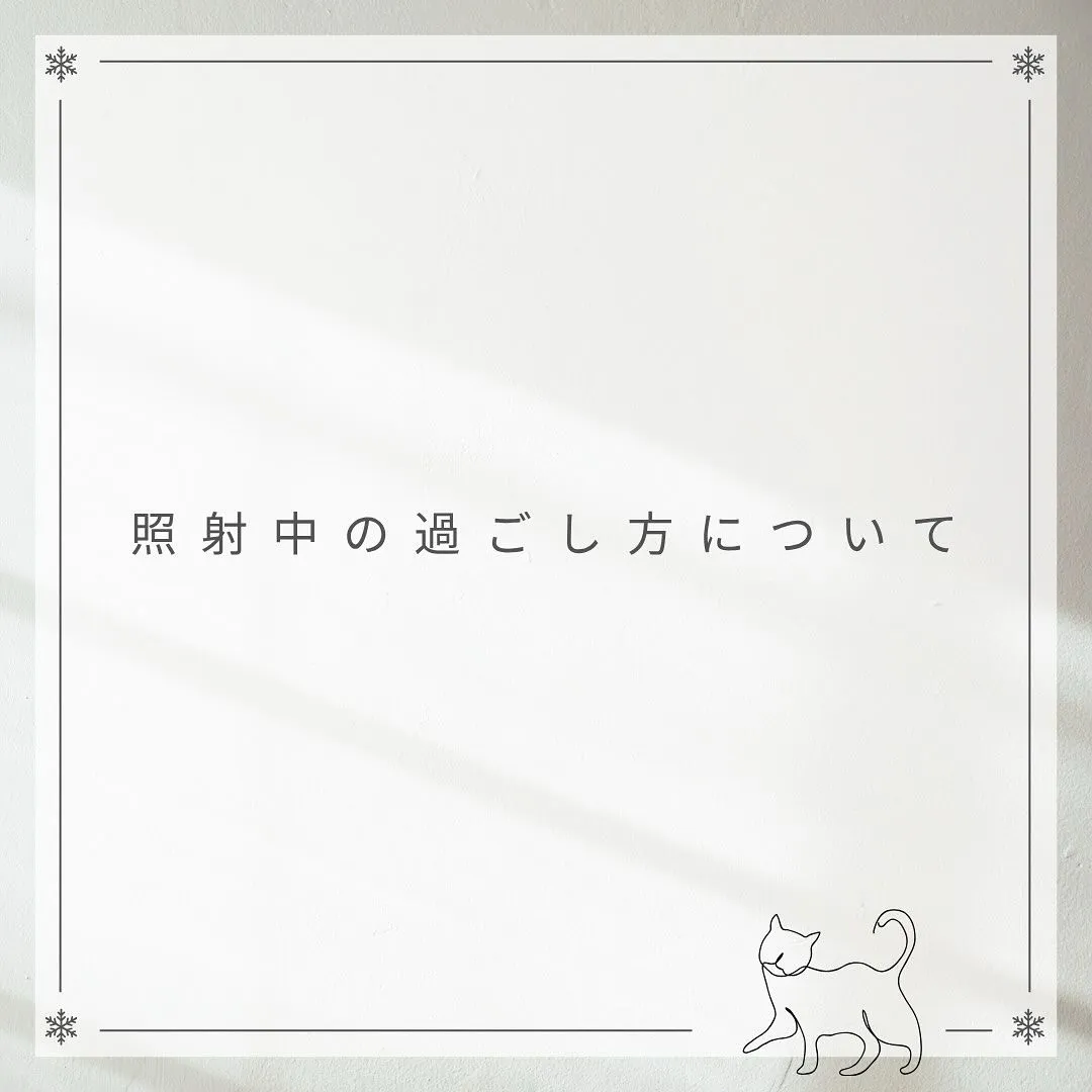 🦷ホワイトニング照射中の過ごし方について🕊️