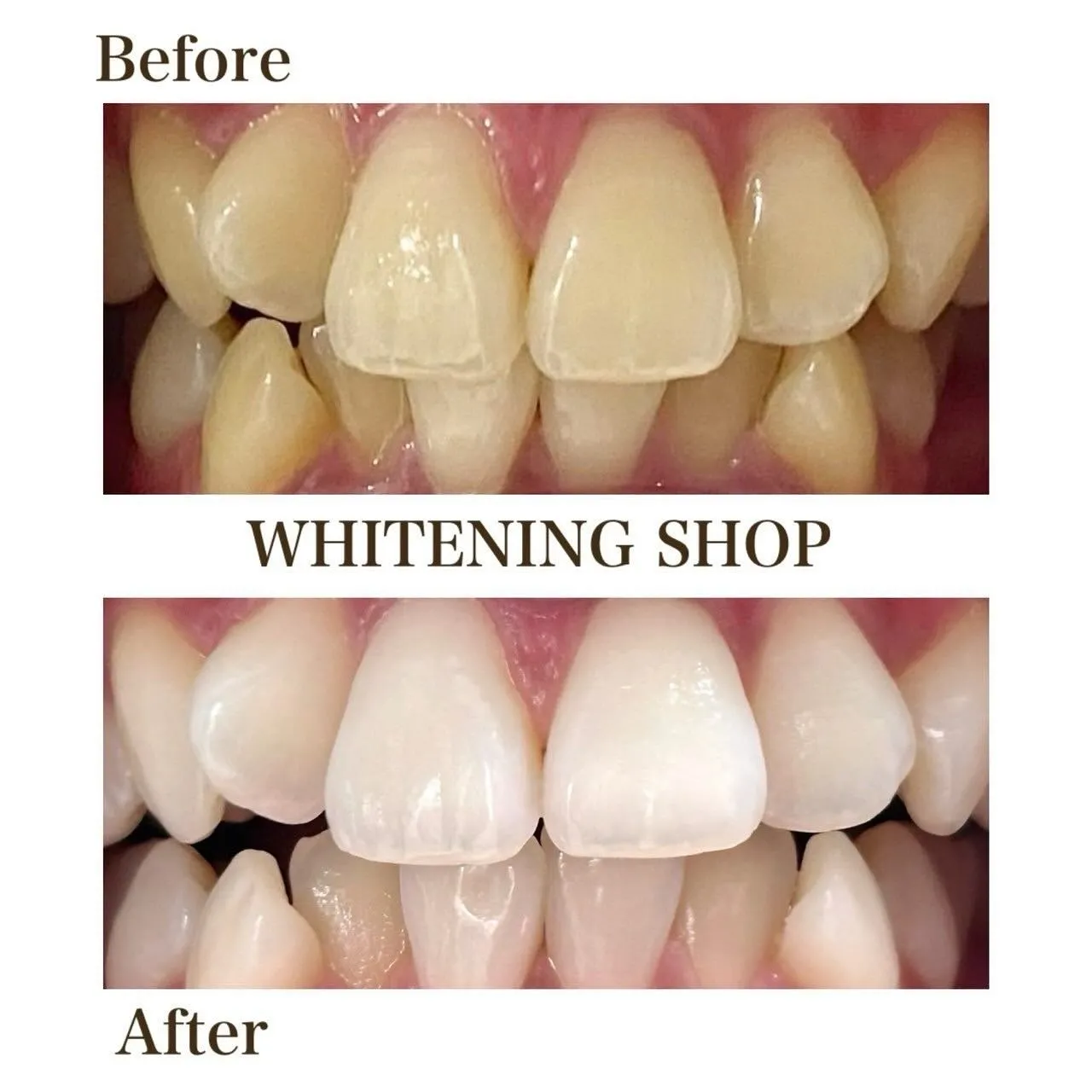 スキンケアも、眉も、ヘアも。