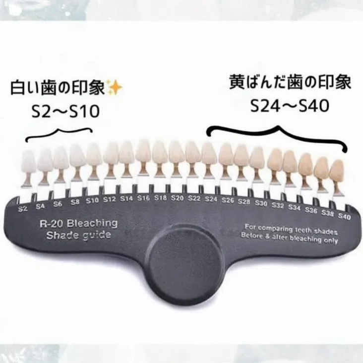 🦷 あなたの歯は、模型で何番？ ✨