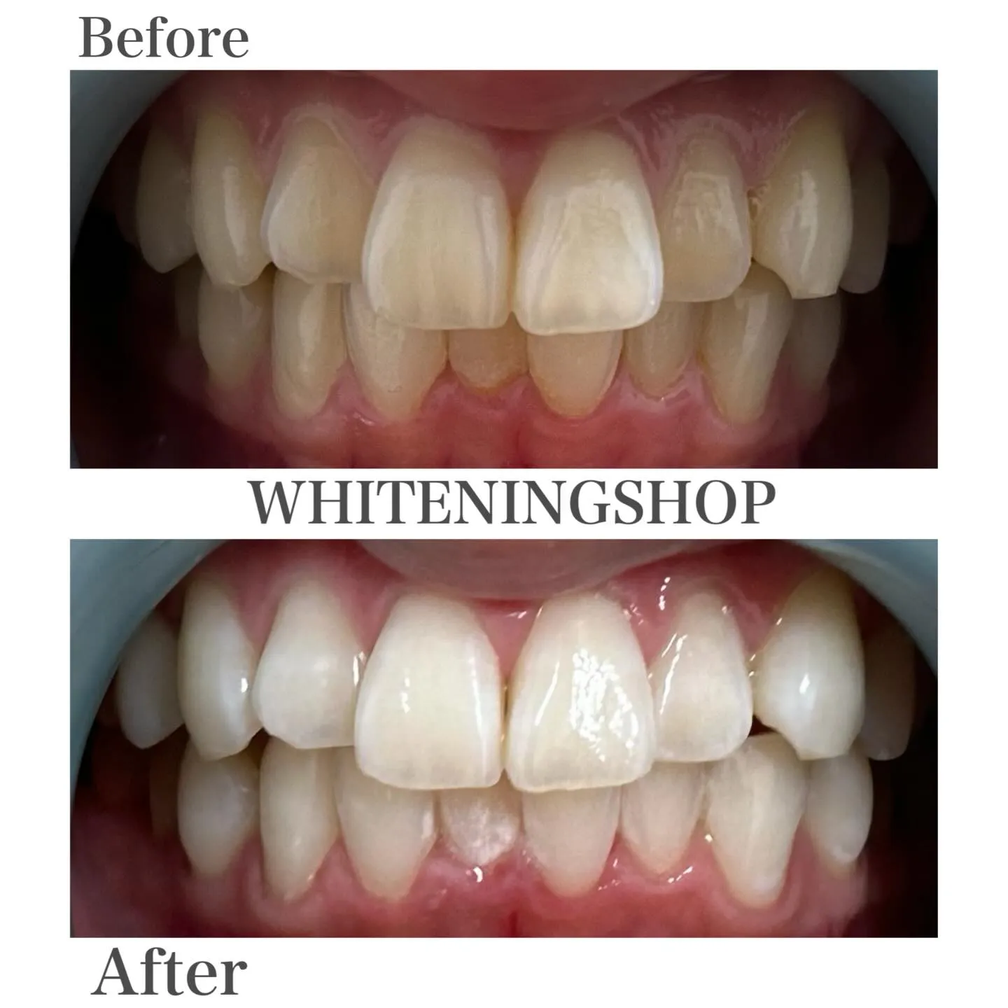 たった40分で、印象は変わる🕊️✨