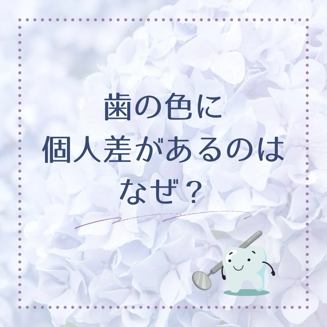 その歯の色、ちゃんと理由があります🦷💭