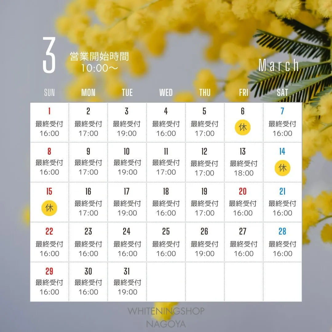 🌸3月の営業日🌸