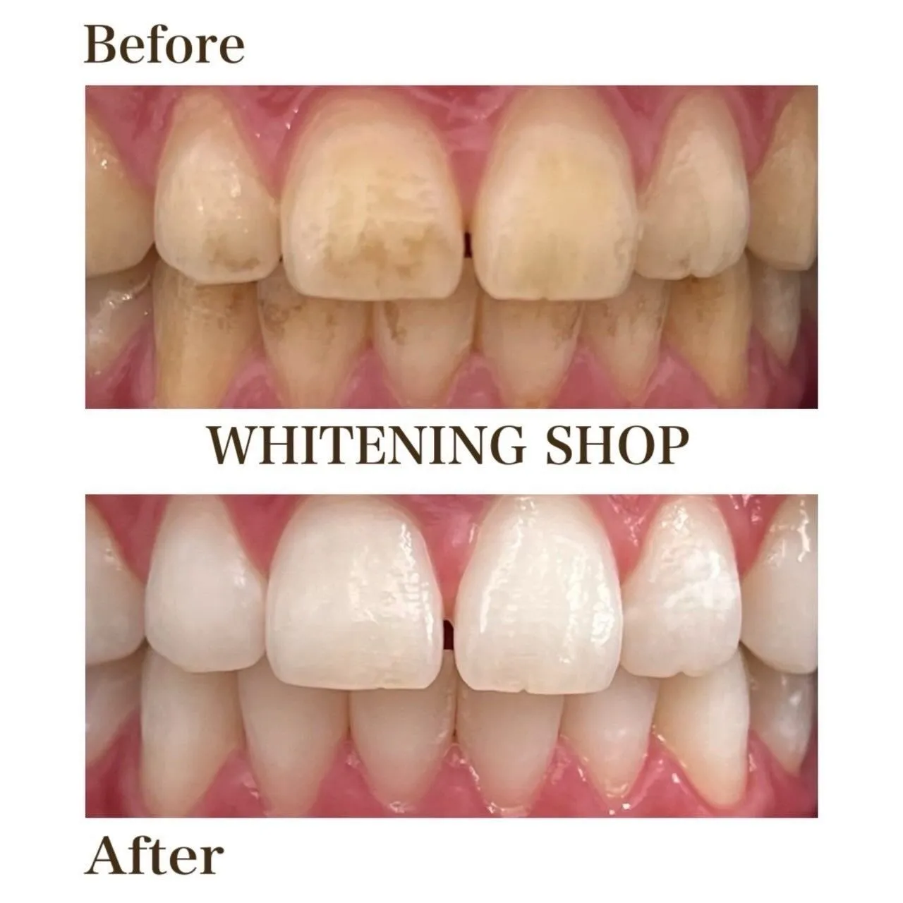 🌸春の習慣、見直しませんか？🌸