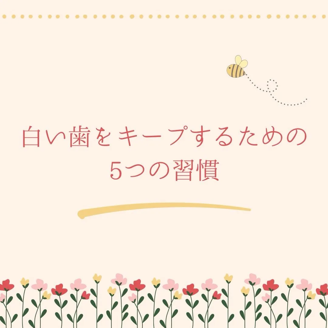 白い歯をキープする人がやっている5つの習慣🕊️✨