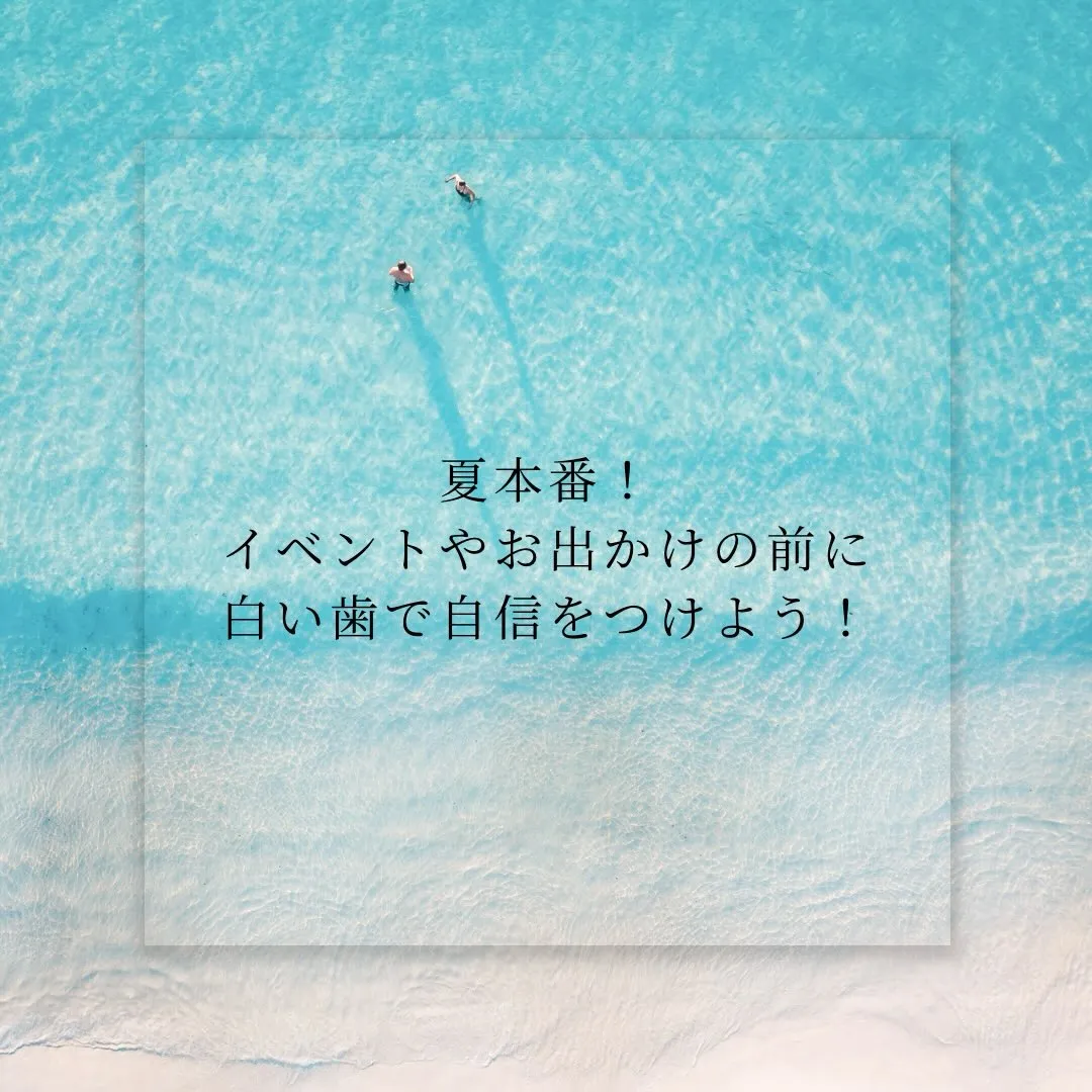 🌻こんにちは🌻