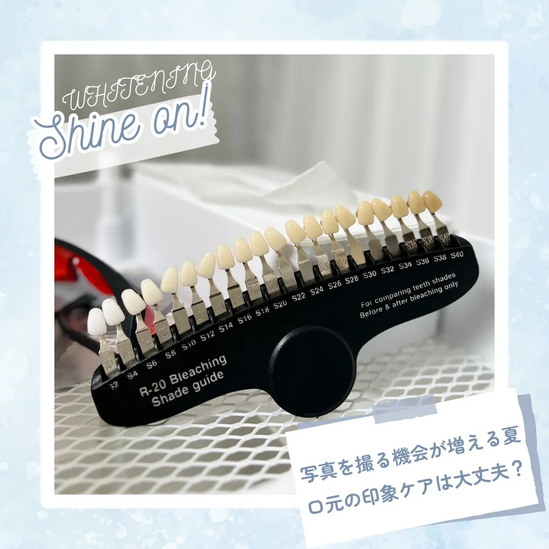 🌻夏のイベントシーズン到来🌻
